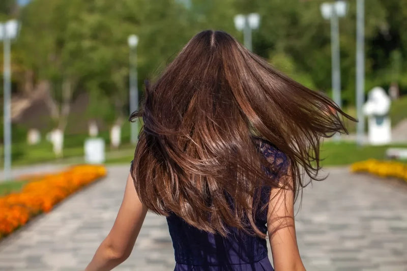 A brunette woman with long, shiny hair from the back.