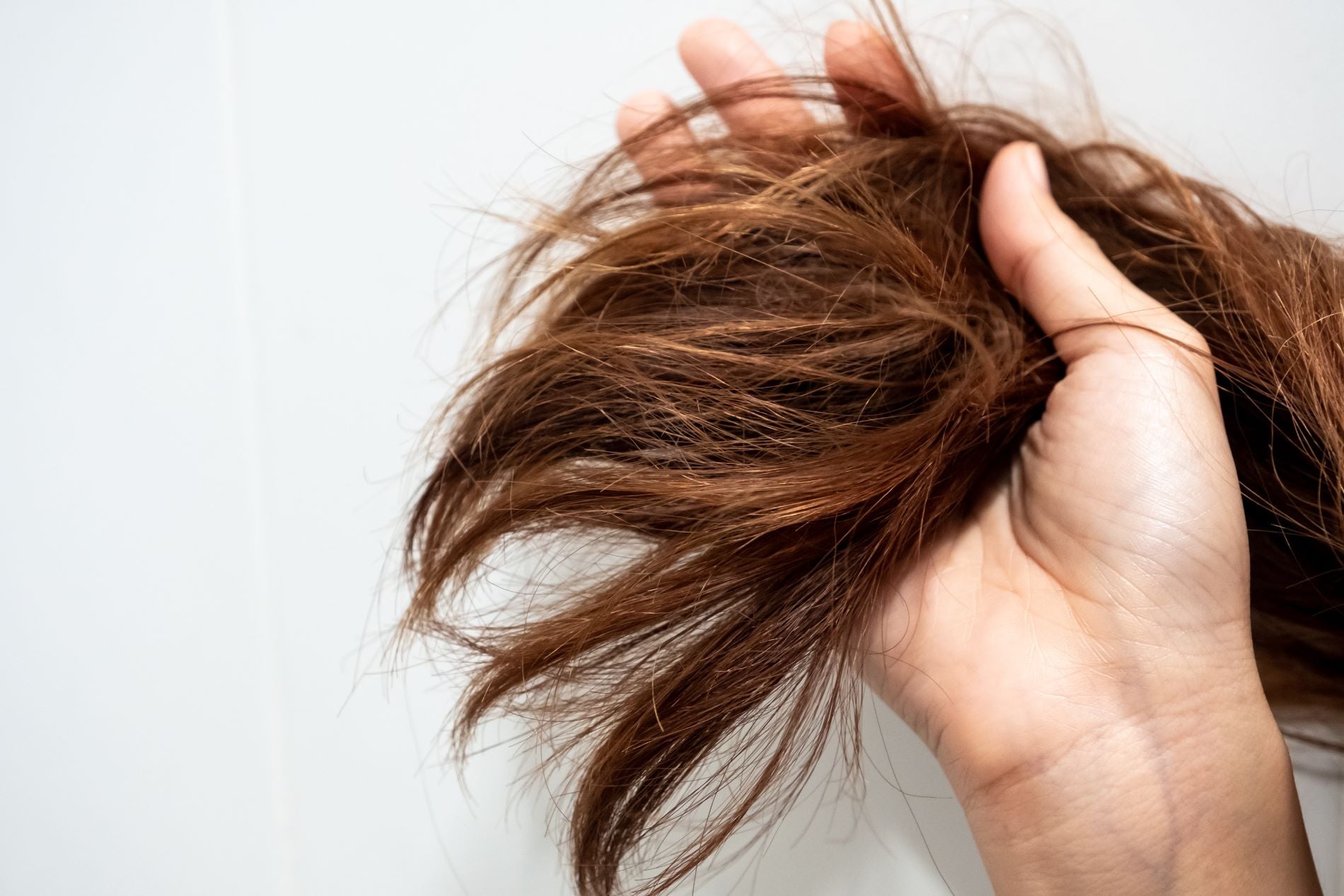 How to fix heat damaged hair without breaking the bank