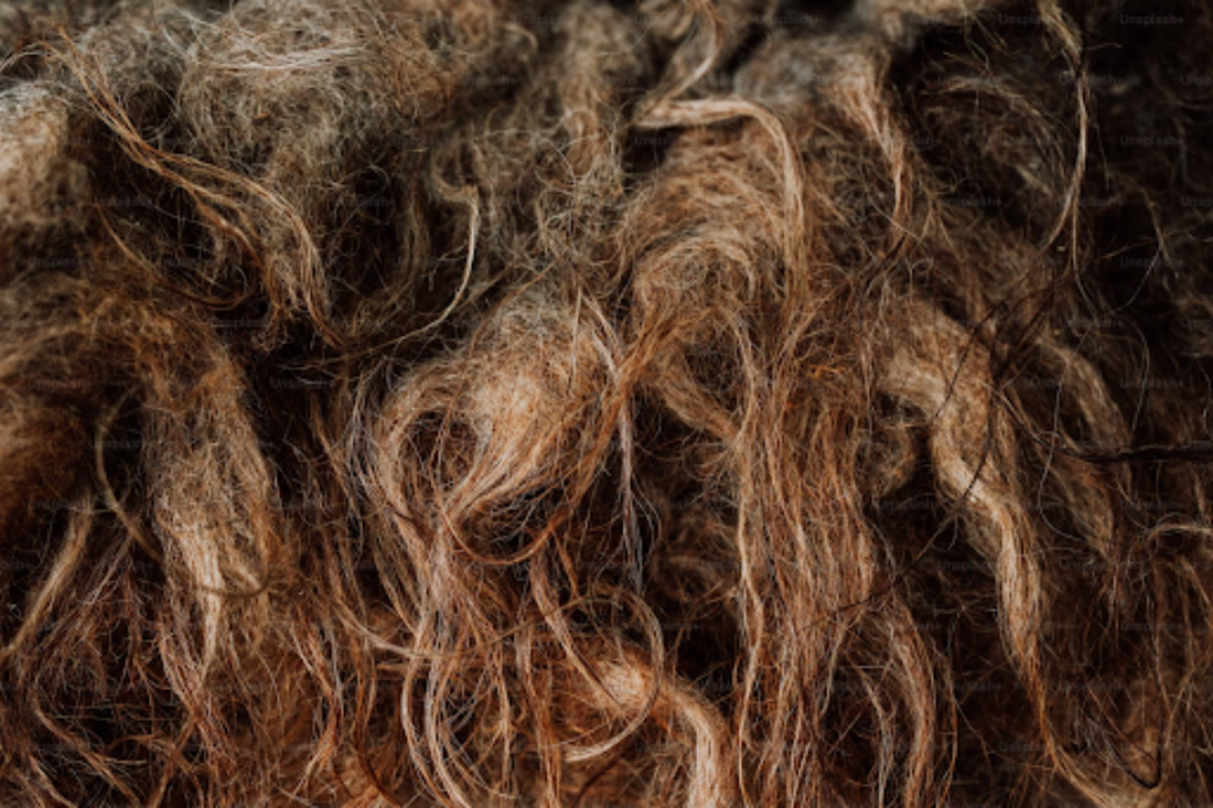 A close-up shot of matted and tangled brunette hair.