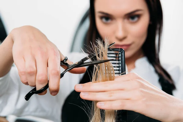 Close-up of a hairstylist cutting blonde hair with professional scissors and a black comb. The stylist, wearing a black apron, has a focused expression while carefully trimming the ends.