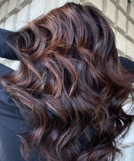 Image of cherry mocha hair.