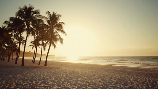 Palm Beach skyline — The Lauren Ashtyn Collection pop-up hair salon for human hair toppers, wigs and extensions